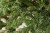Искусственная ель «Нормандия» 260 см темно-зеленая, Triumph Tree